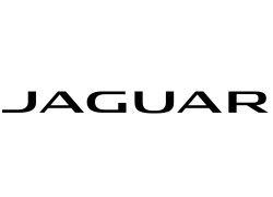 Jaguar (35)